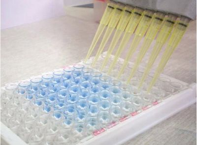 异丙甲草胺检测试剂盒